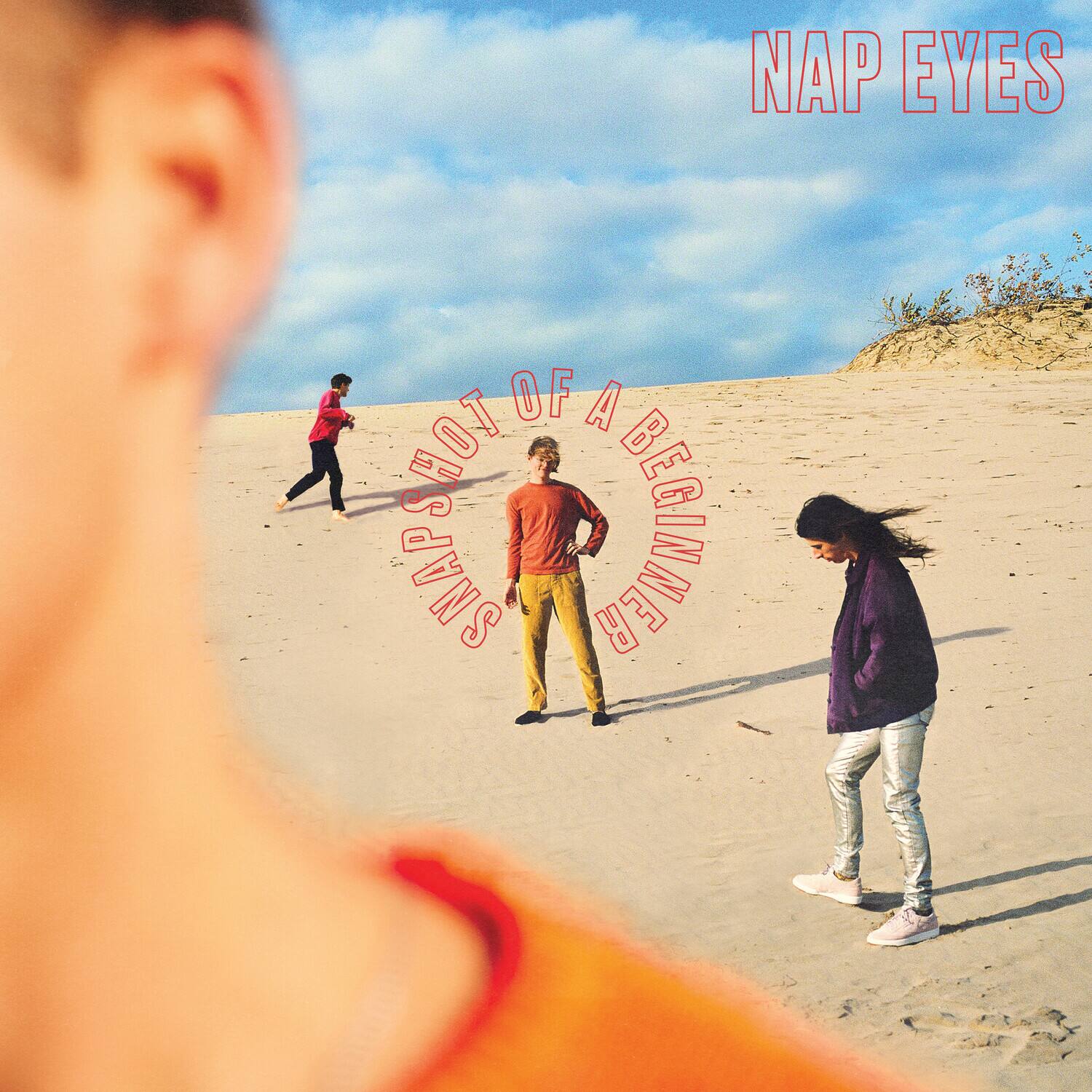 Nap Eyes - Snapshot of a Beginner   - VINYL LP price history on PriceWatchPro