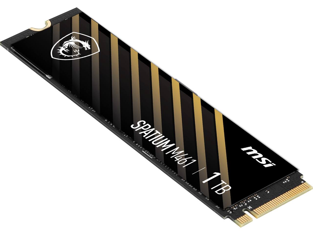SPATIUM M461  
MSI  
1TB