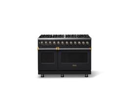 Viking - 48"W. 8 Burner Pro 5 Series 7.3Cu. Ft. Freestanding Sealed LP Dual Fuel Convection Range with Brushed Brass Trim - Onyx