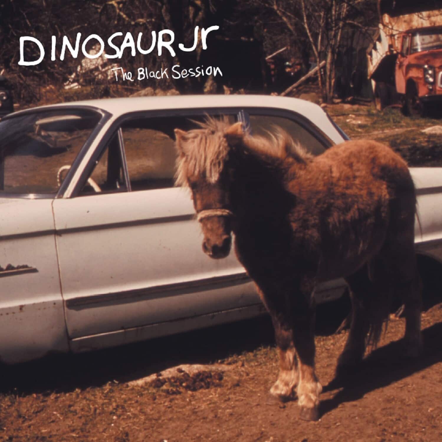 Dinosaur Jr. - The Black Session: Live In Paris 1993  - VINYL LP