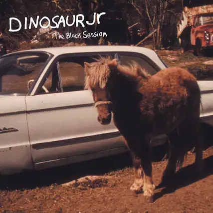 DINOSAUR JR
The Black Session