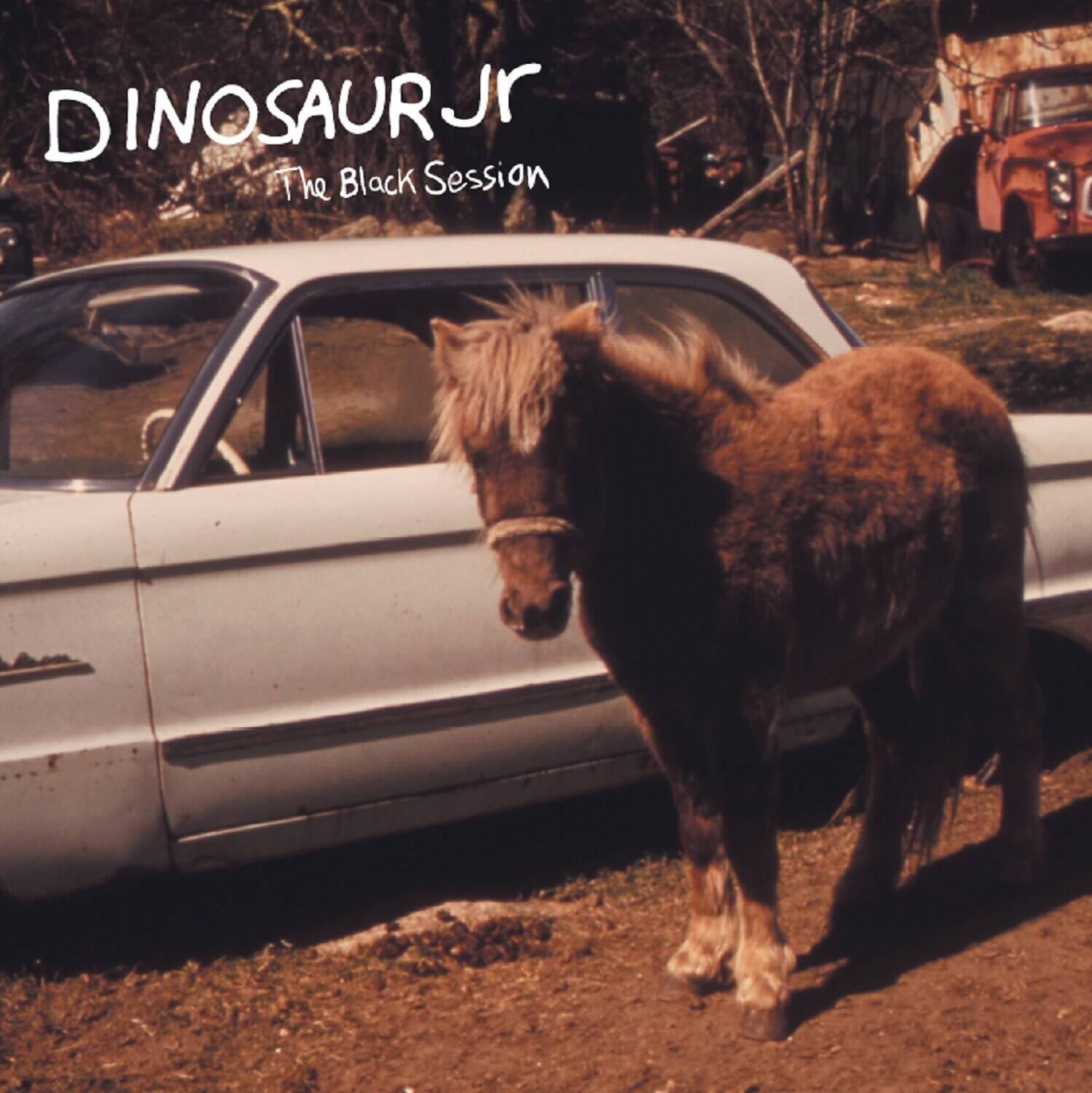DINOSAUR JR  
The Black Session