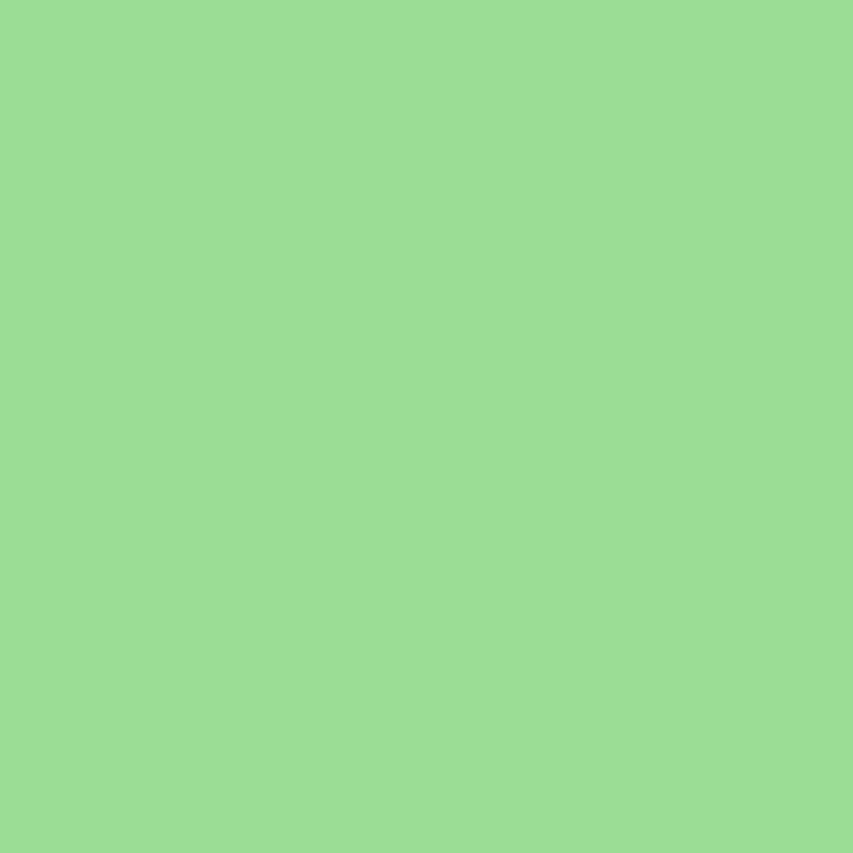 Rosco - CalColor #4430 Green Filter, 1 Stop, 20x24" Sheet