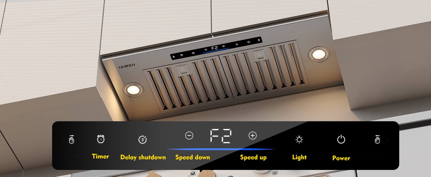 F2 IAMSII 3 e + Timer Delay shutdown Speed down Speed up Light Power