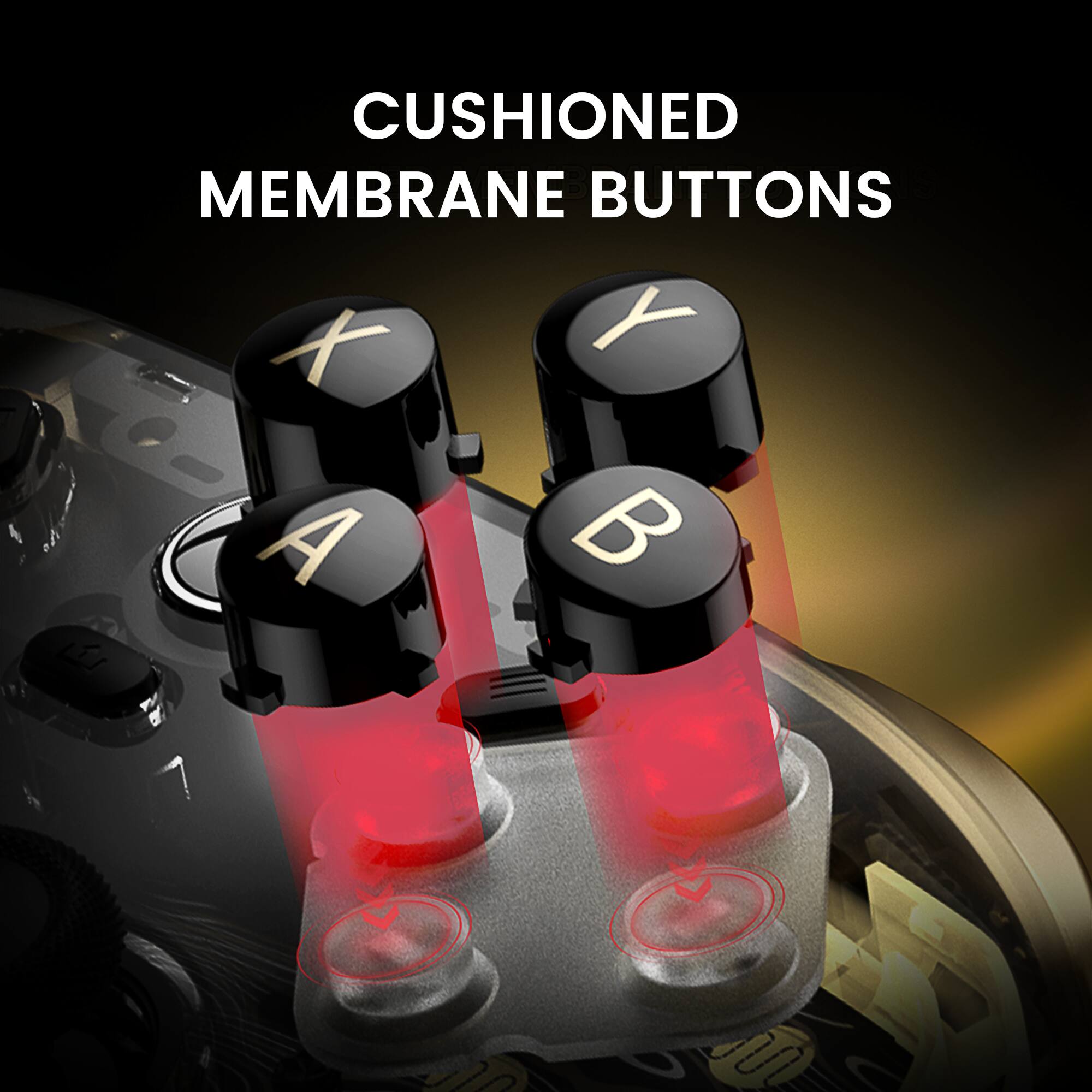 CUSHIONED MEMBRANE BUTTONS  
X Y A B