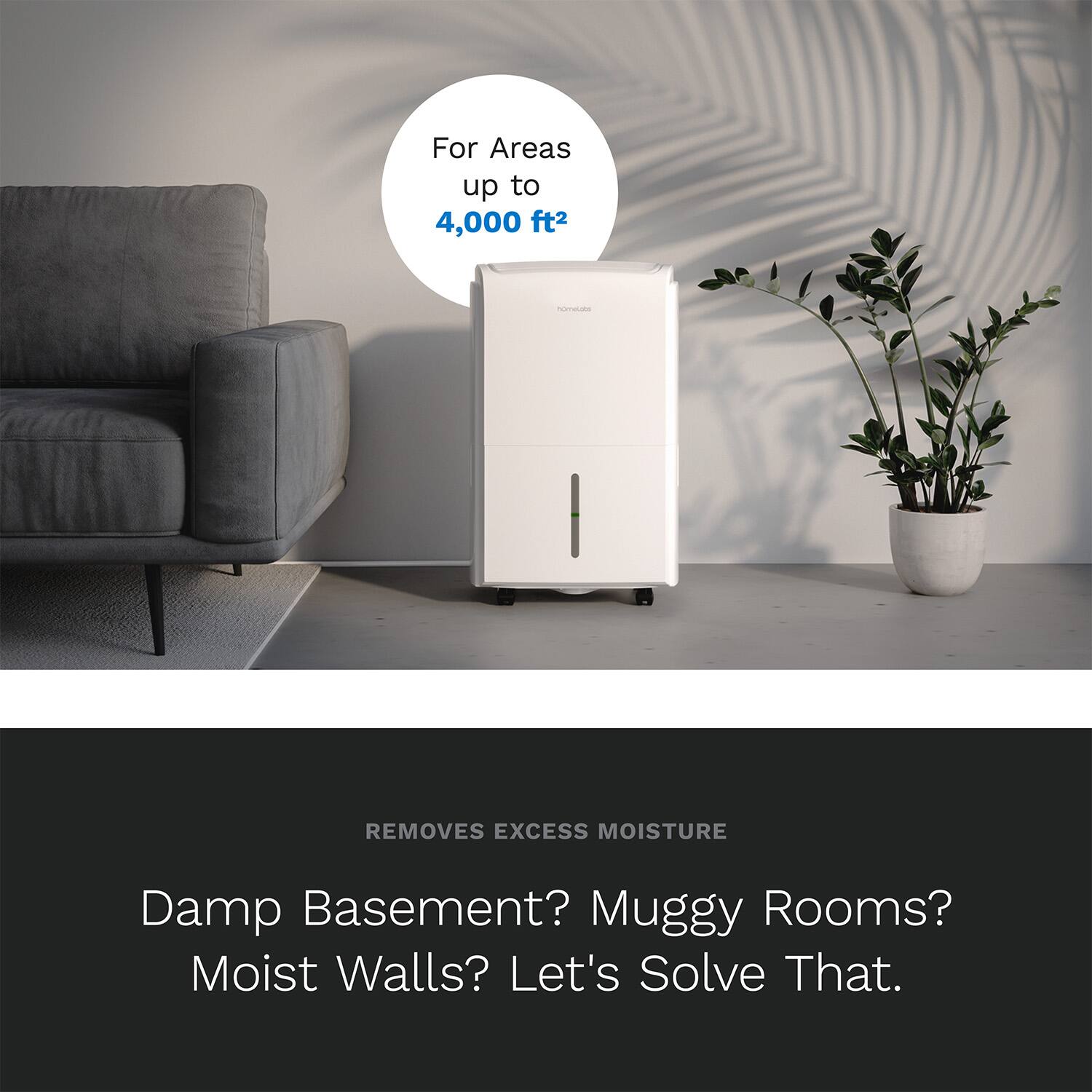 For Areas up to 4,000 ft2 - REMOVES EXCESS MOISTURE
Damp Basement? Muggy Rooms? Moist Walls? Let's Solve That.
