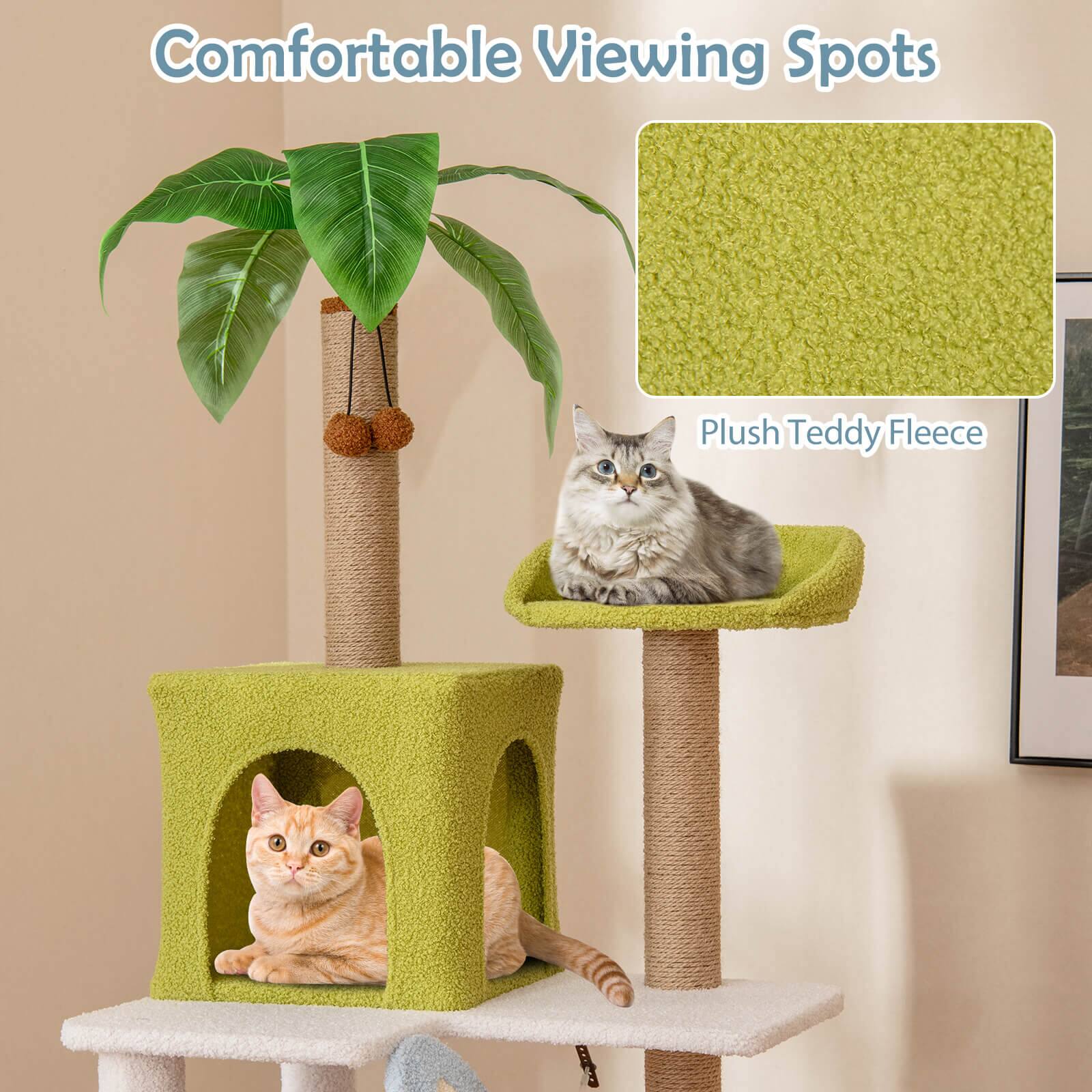 Comfortable Viewing Spots

Plush Teddy Fleece