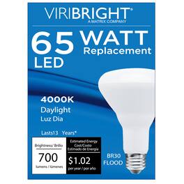 VIRIBRIGHT - BR30 LED Bulb, 700 Lumens, Dimmable, CEC T20, 90+ CRI, Cool 4000K - White