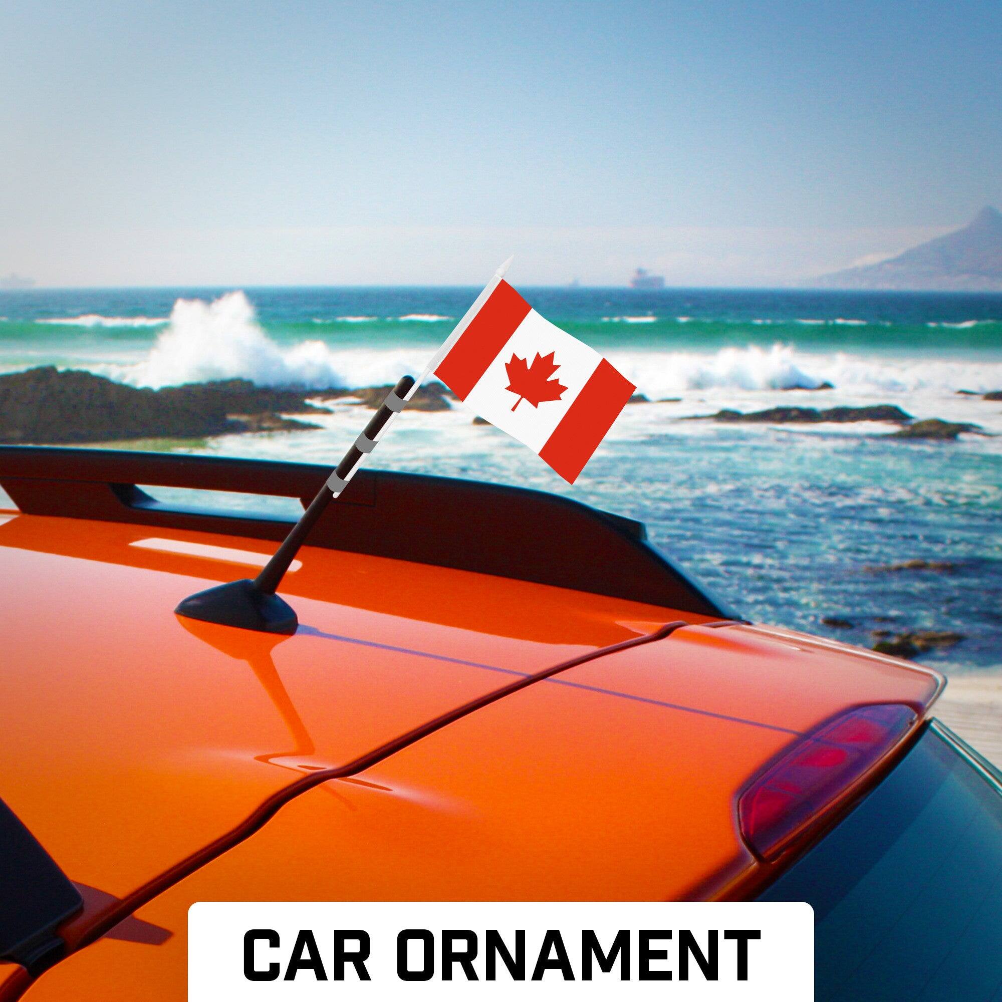 CAR ORNAMENT