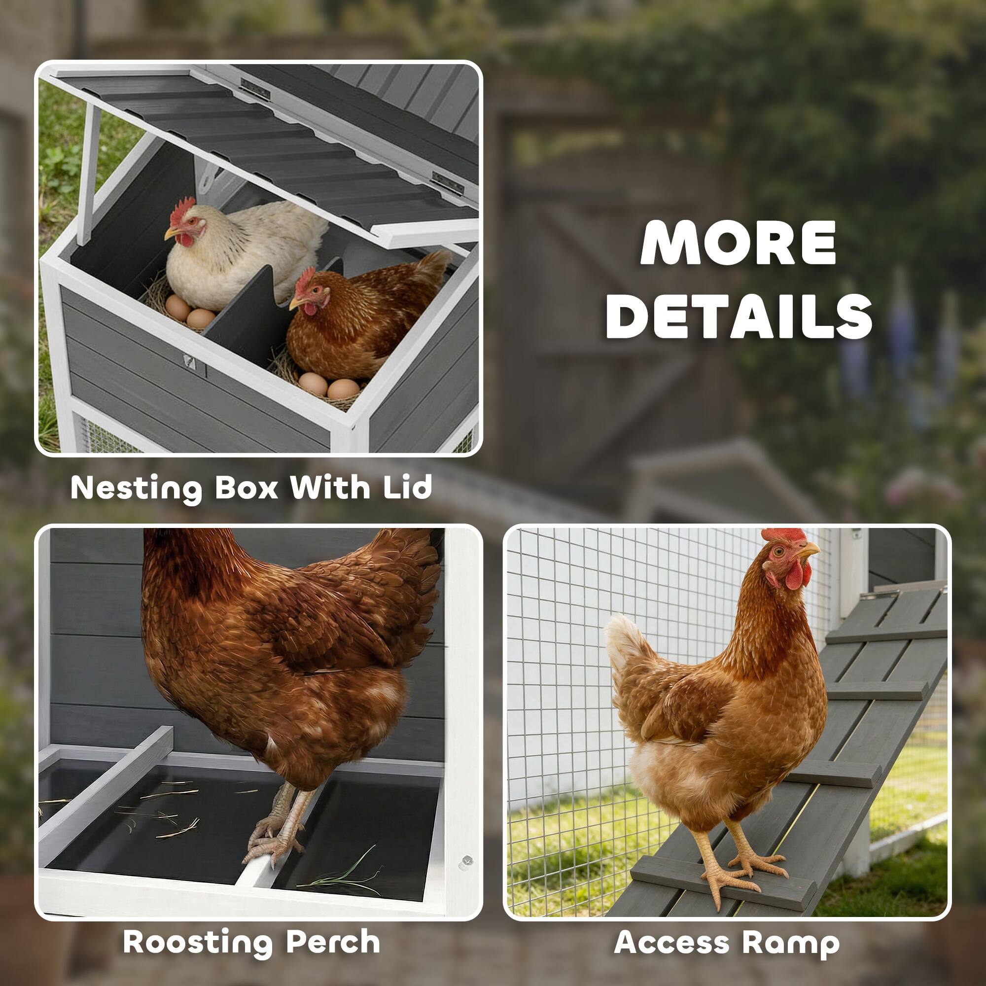 MORE DETAILS

Nesting Box With Lid

Roosting Perch

Access Ramp