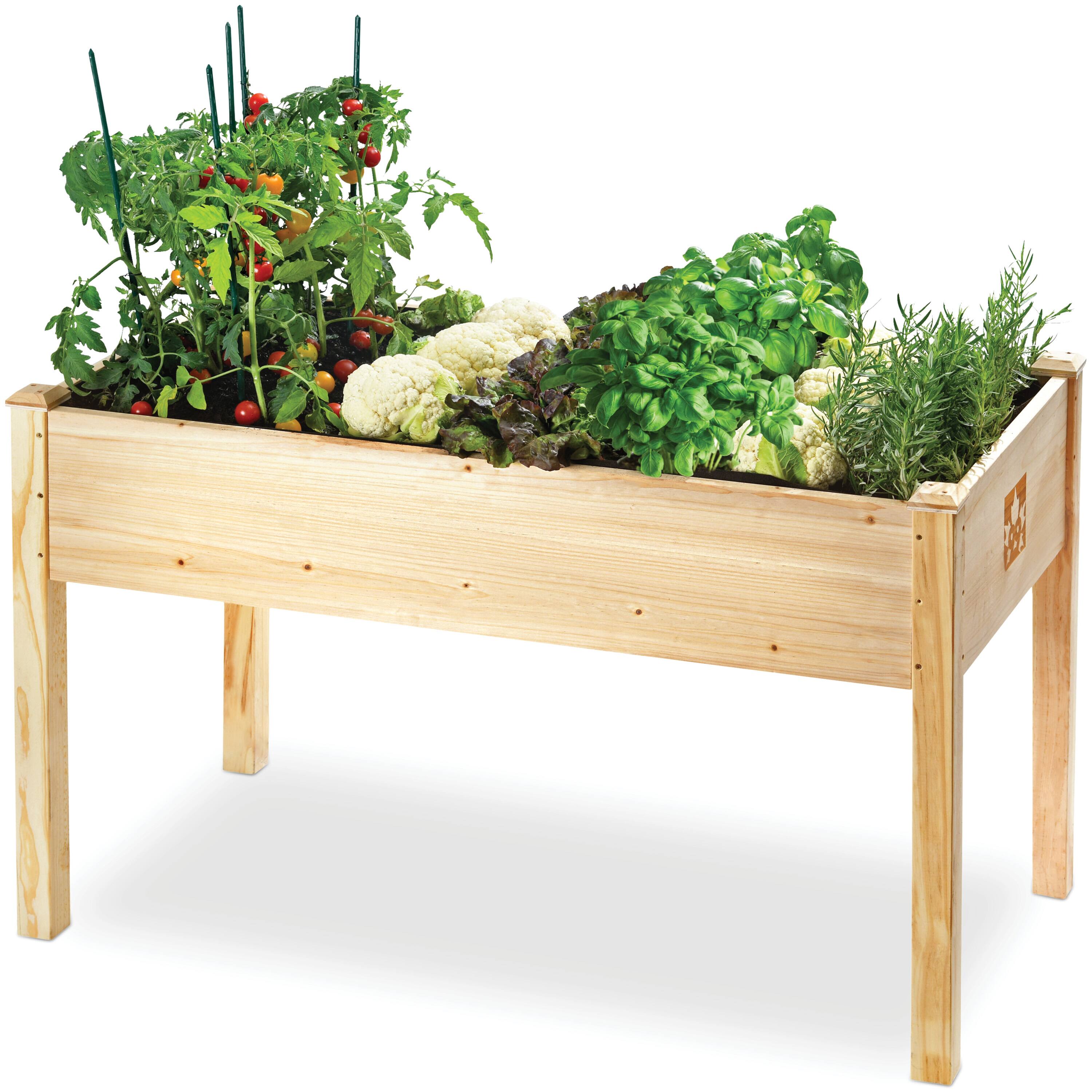Maple99 - Raised Garden Bed - Elevated Wood Planter Box with Bed Liner - Planter Box with Legs for Flowers, Herbs - 200lb Capacity - Beige