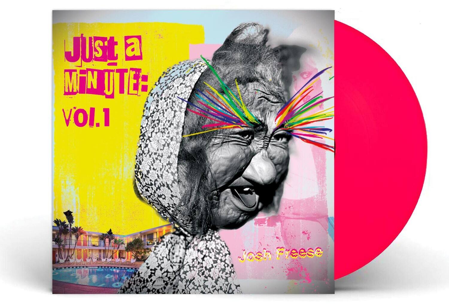 Josh Freese - Just A Minute 1   - VINYL LP price history on PriceWatchPro