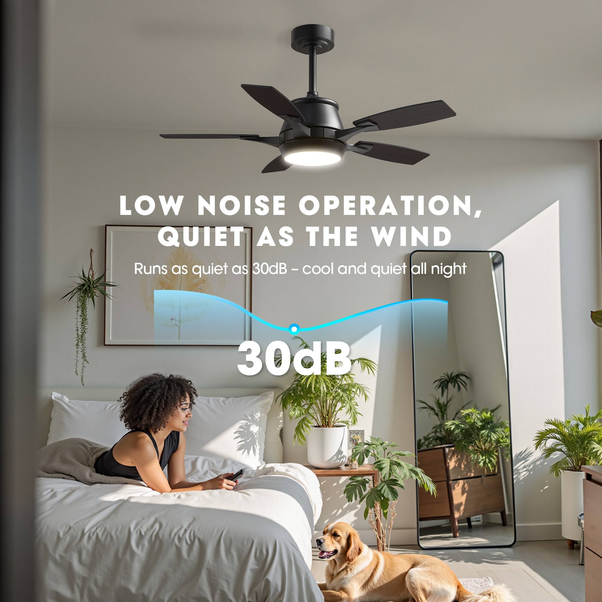 LOW NOISE OPERATION,  
QUIET AS THE WIND  
Runs as quiet as 30dB – cool and quiet all night  
30dB