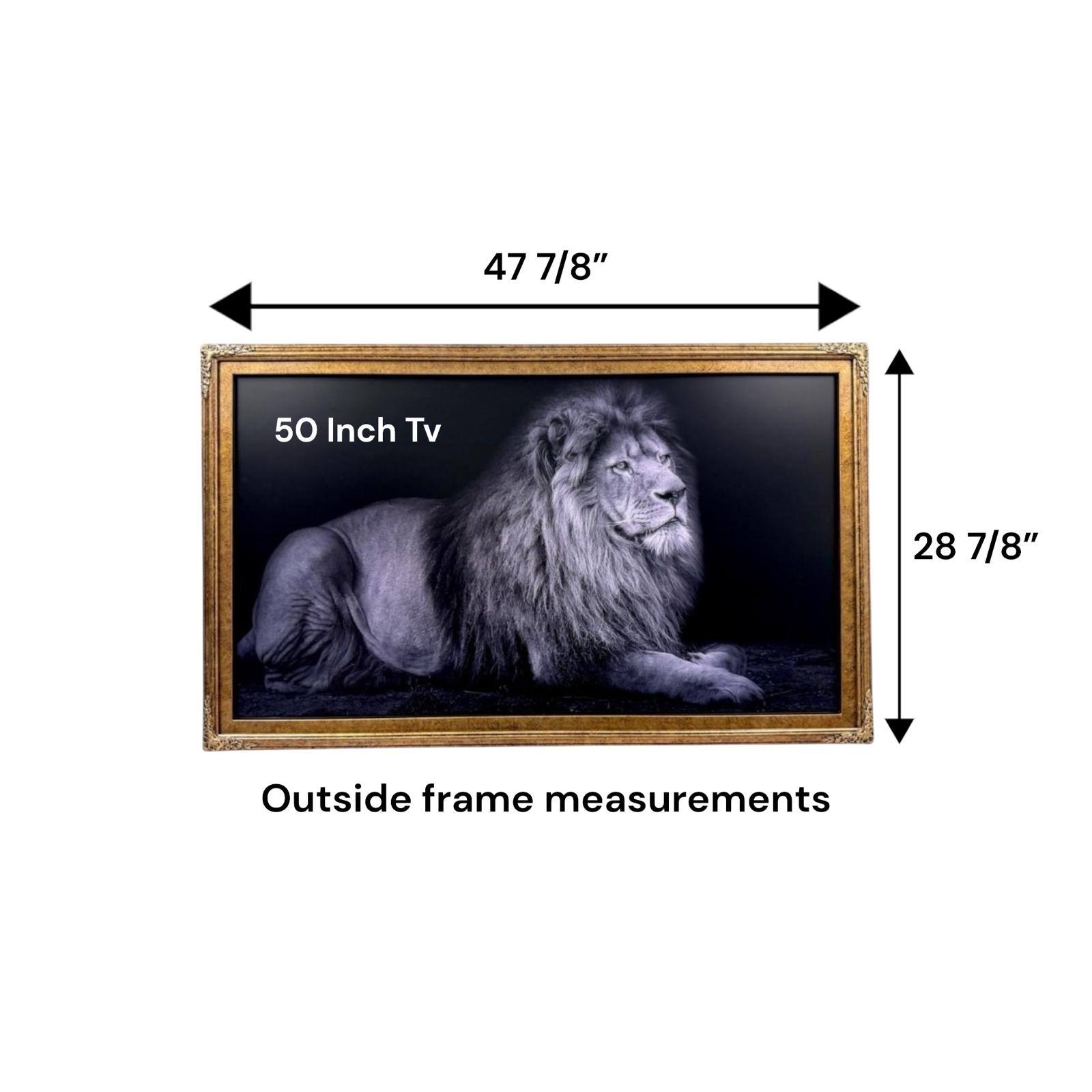 47 7/8" x 28 7/8" Outside frame measurements for a 50 Inch TV