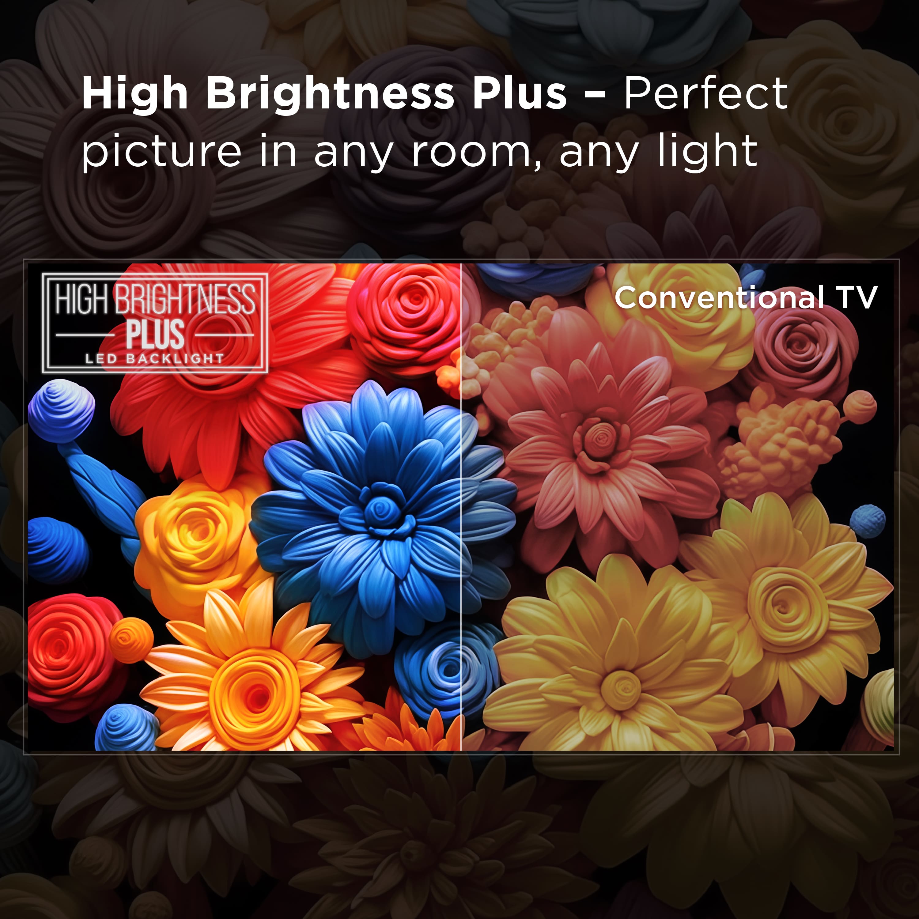 High Brightness Plus - Perfect picture in any room, any light. High Brightness Plus LED Backlight Conventional TV.