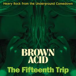 Various Artists - Brown Acid - The Fifteenth Trip (Various Artists) - VINYL LP