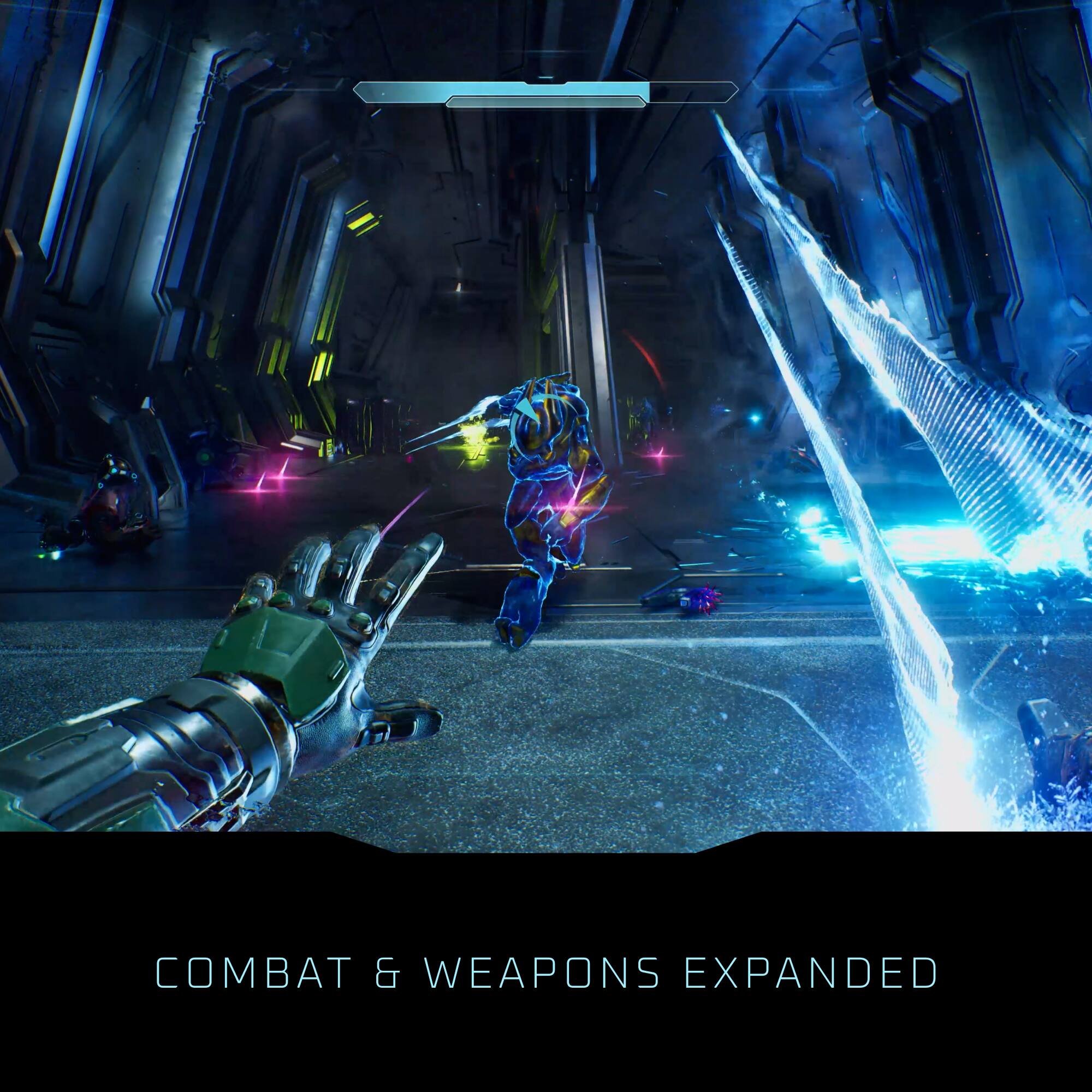 COMBAT & WEAPONS EXPANDED