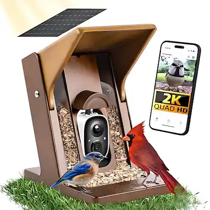 N2. NTAES STE 2K QUAD HD