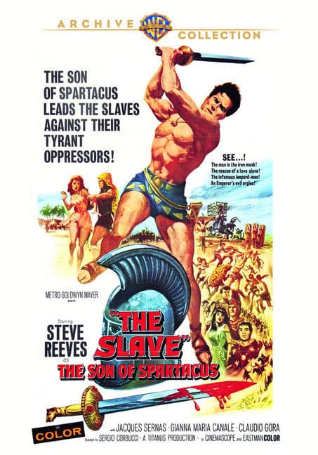 Front. Slave, The - DVD.