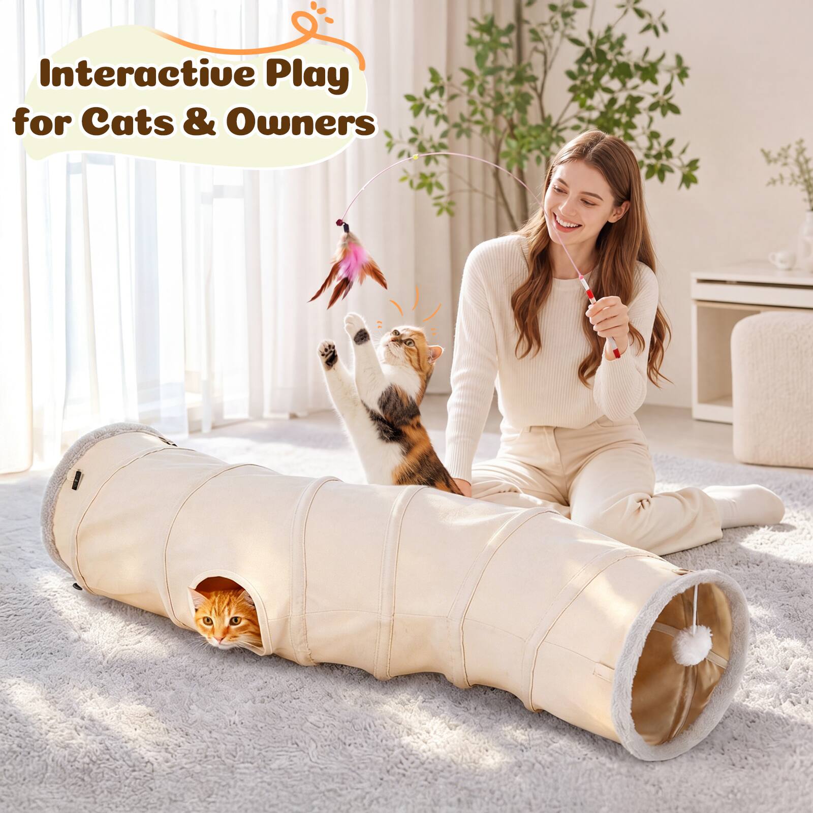 Interactive Play for Cats & Owners