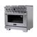20.00 - 1580.00
YEAR KUCHT Professional