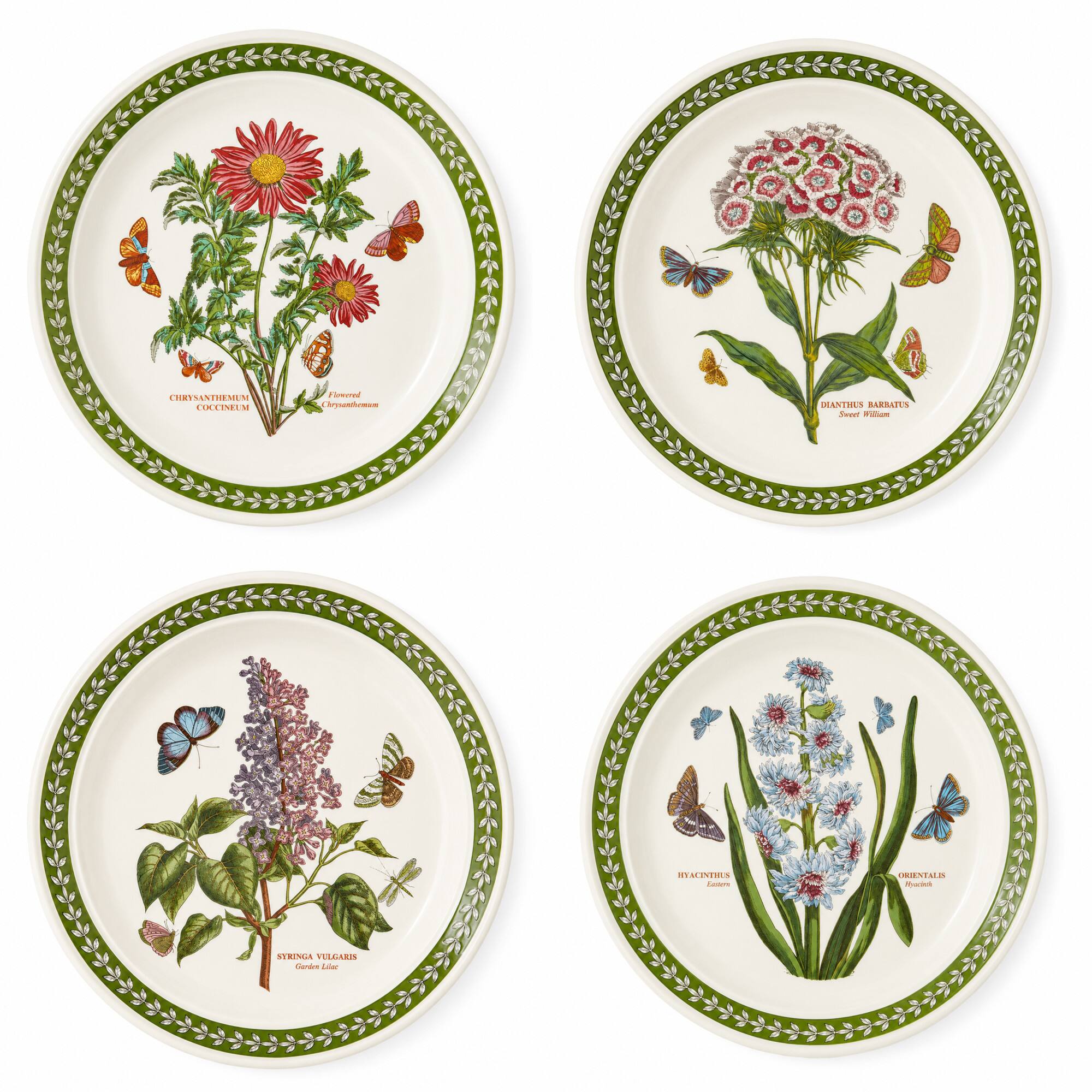 CHRYSANTHEMUM COCCINEUM  
Flowered Chrysontheman  
DIANTHUS BARBATUS Sweet William  
HYACINTES ORIENTALIS - Spack  
SYRINGA VULGARIS Garden Lilor