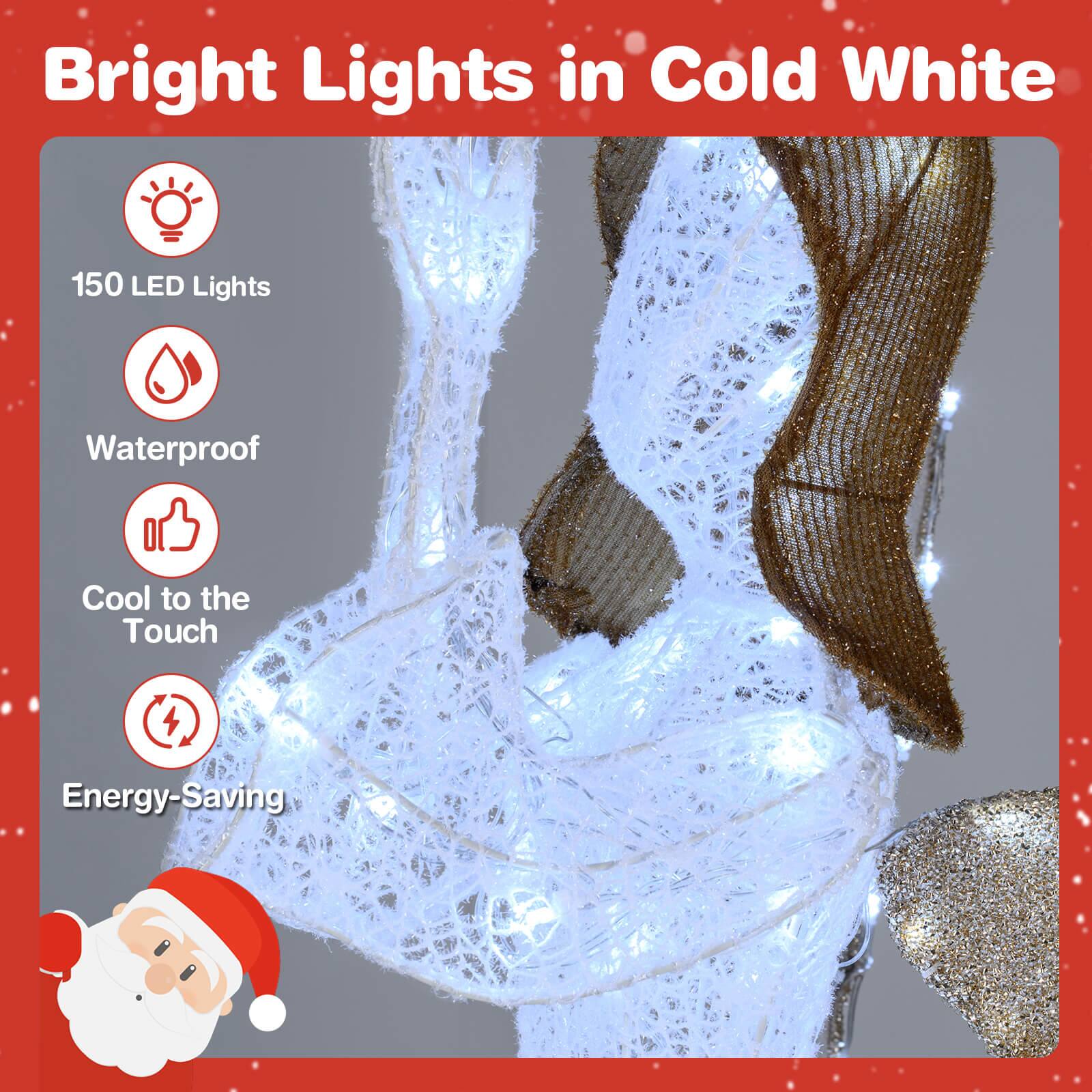 Bright Lights in Cold White

- 150 LED Lights
- Waterproof
- Cool to the Touch
- Energy-Saving