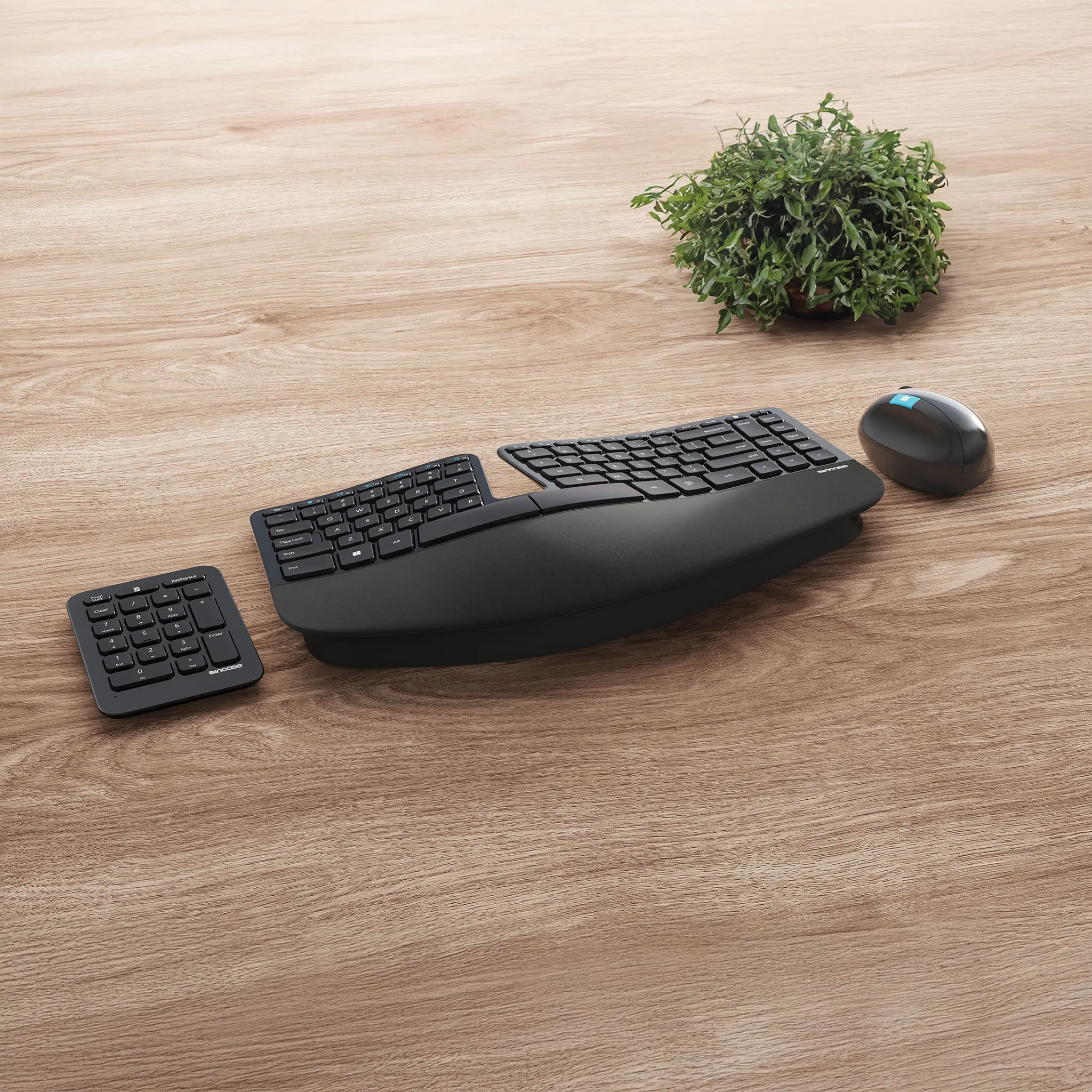 【美品】 Microsoft Sculpt Ergonomic Desktop Sculpt Ergonomic Desktop Designed by Microsoft - Incase.com