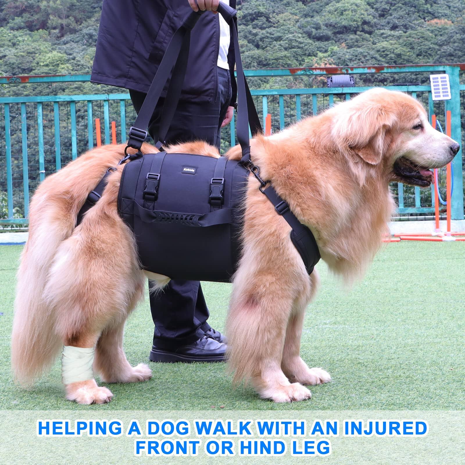 HELPING A DOG WALK WITH AN INJURED FRONT OR HIND LEG