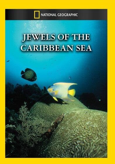 Front. Jewels Of The Caribbean Sea - DVD.