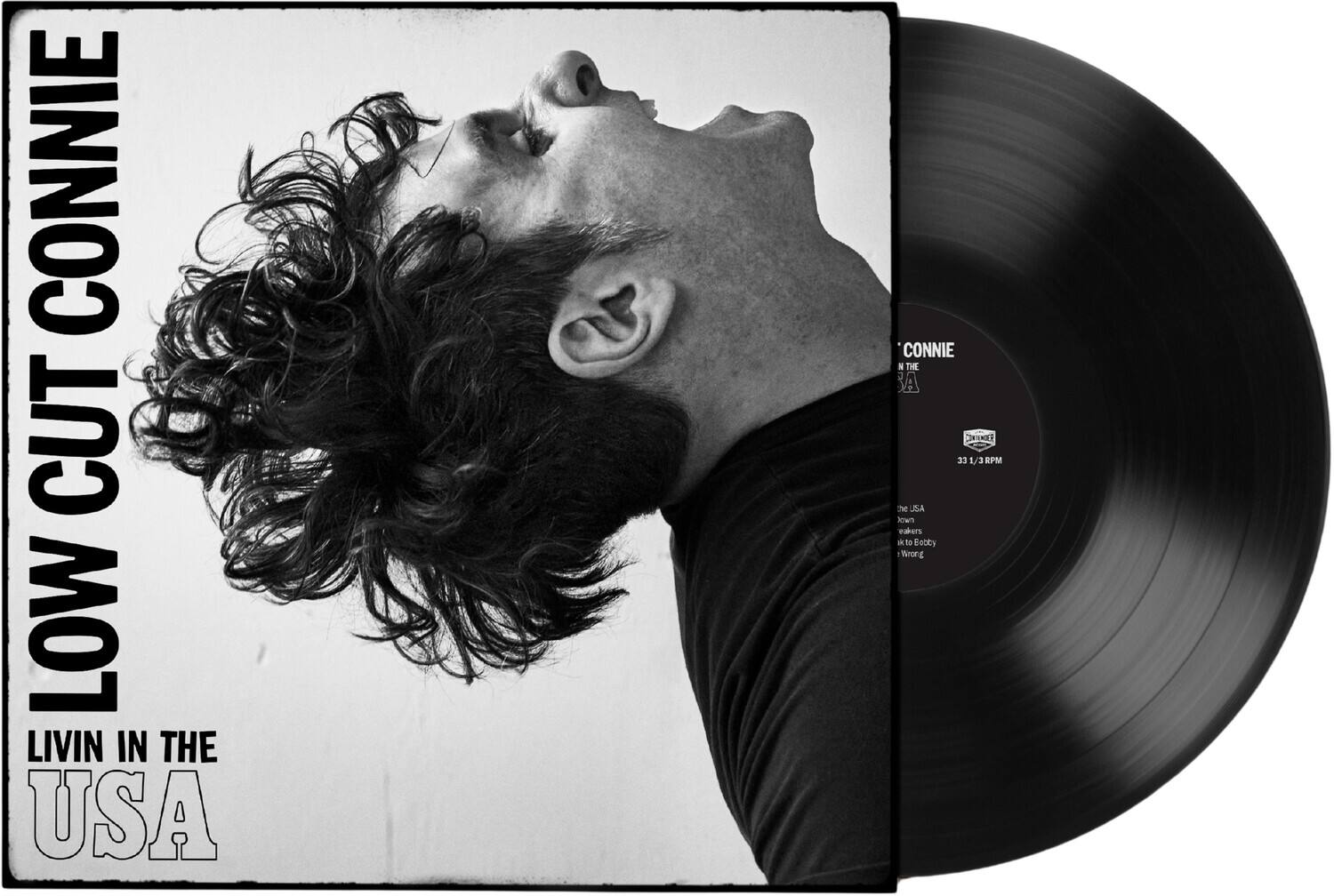 Low Cut Connie - Livin in the USA   - VINYL LP price history on PriceWatchPro