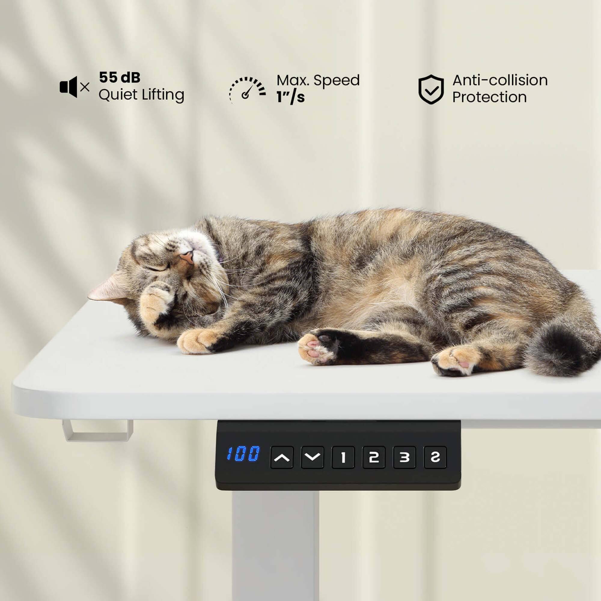 The text on the image reads: "55 dB Quiet Lifting Max. Speed 1" 1"/s Anti-collision Protection."