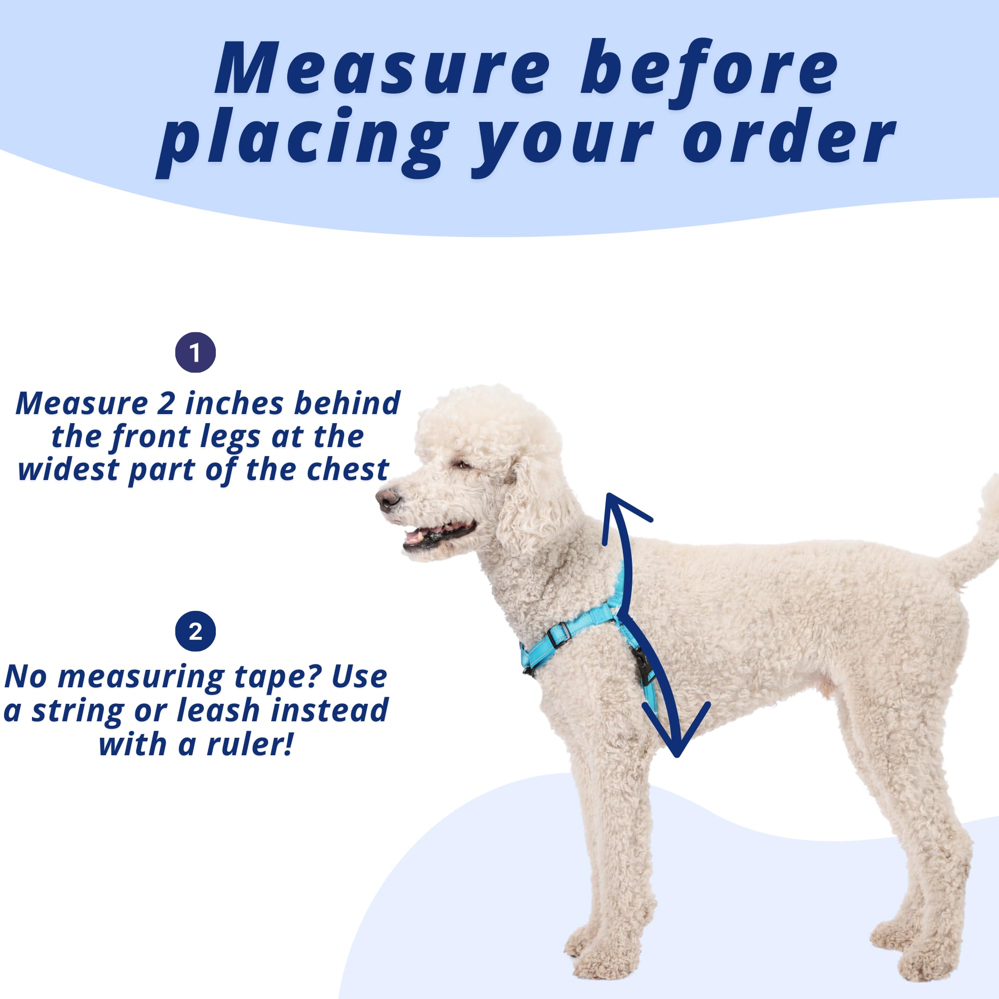 Measure before placing your order

1. Measure 2 inches behind the front legs at the widest part of the chest

2. No measuring tape? Use a string or leash instead with a ruler!