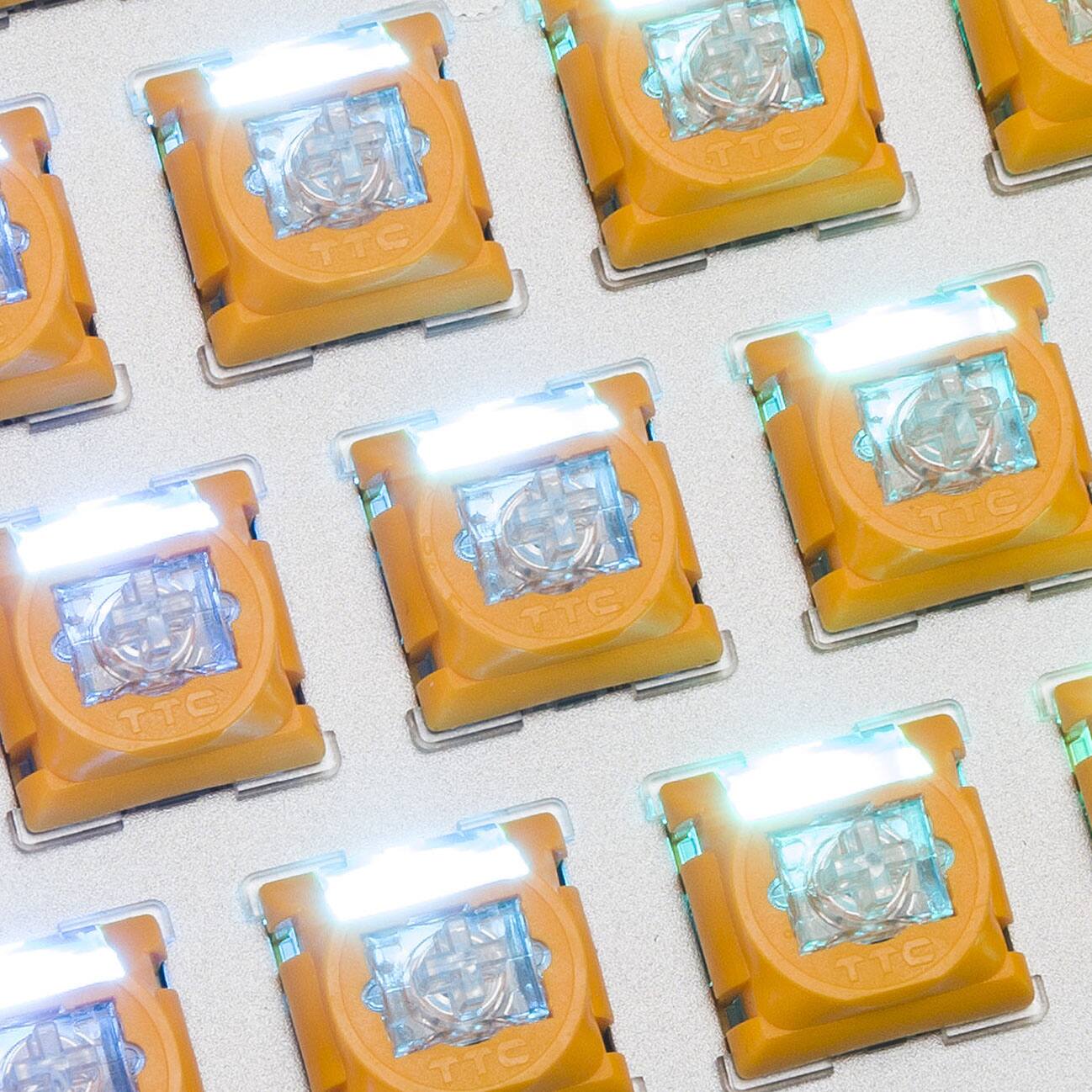 TTC TTC TTC TTC TTC TTC TTC