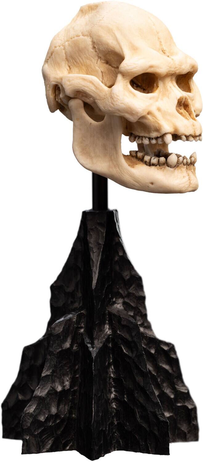 Alt View 1. Weta Workshop - WETA Workshop Polystone - The Lord of the Rings Trilogy - Skull of Lurtz Polystone Statue   - COLLECTIBLES - Multicolor.