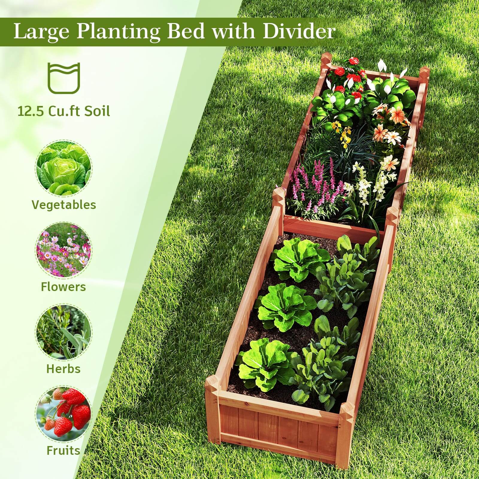 Large Planting Bed with Divider

12.5 Cu.ft Soil

- Vegetables
- Flowers
- Herbs
- Fruits