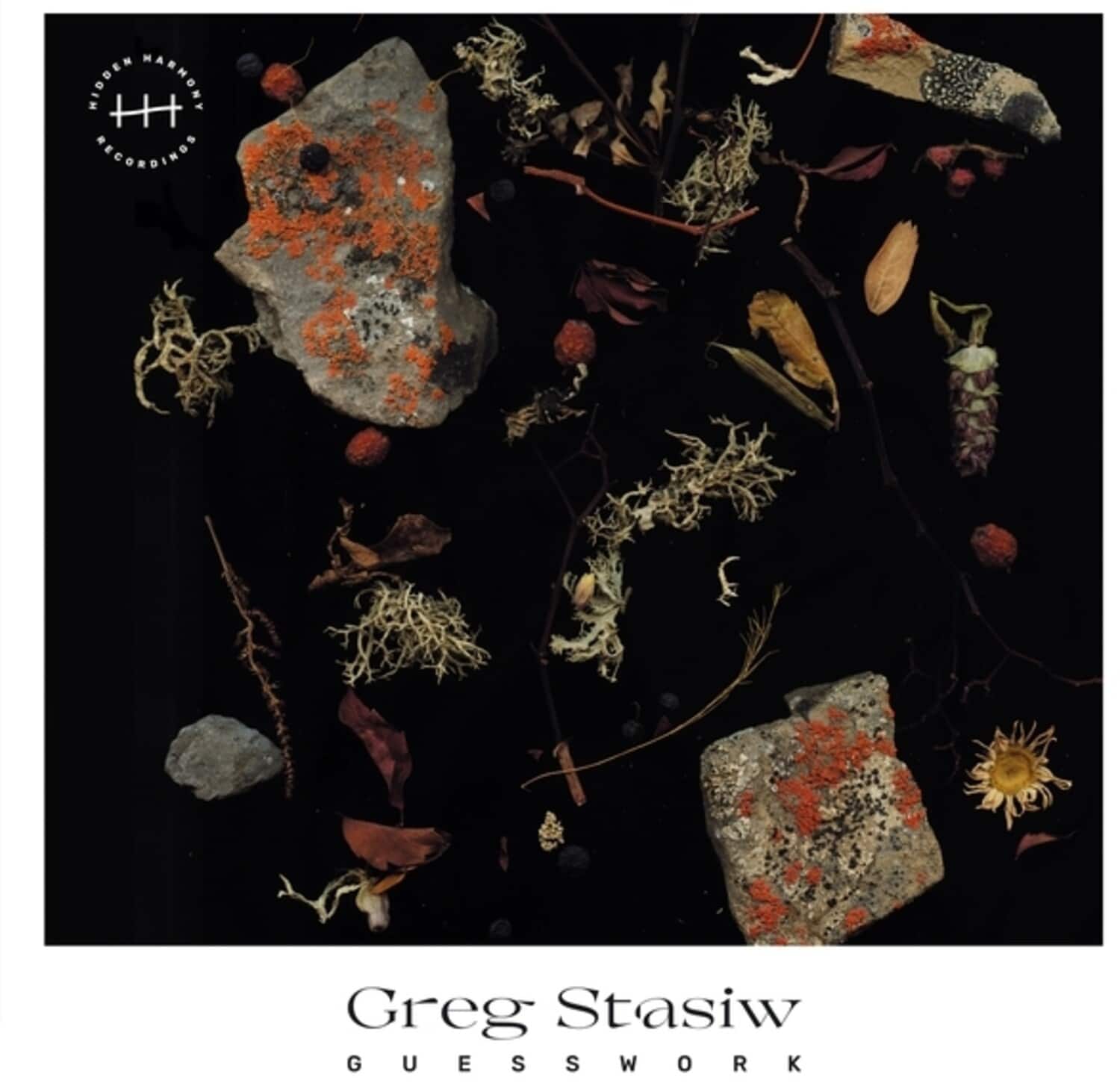 Greg Stasiw - Guesswork   - VINYL LP price history on PriceWatchPro