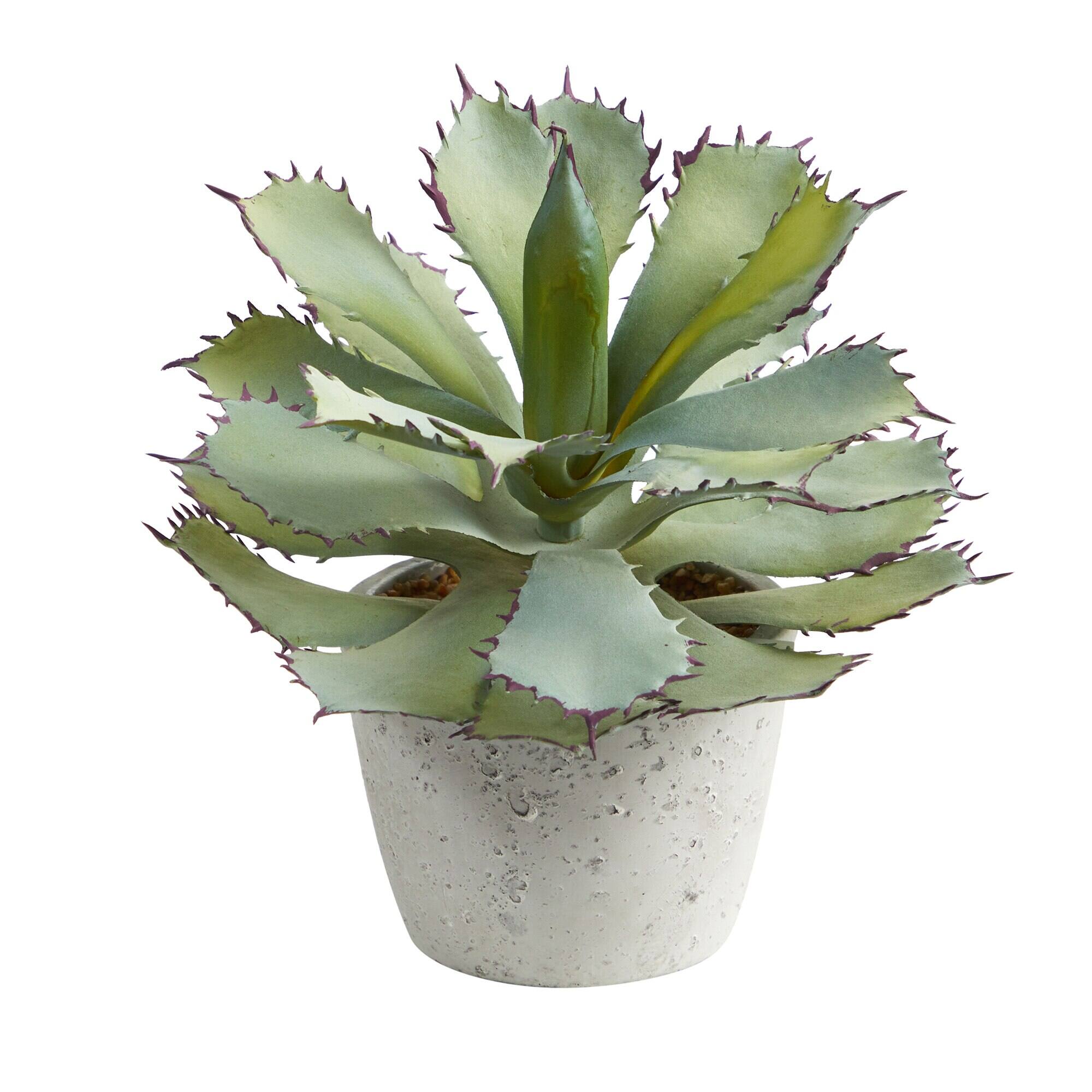 Front. BreeBe - 11" Succulent Artificial Plant - Green.