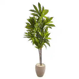 BreeBe - 68" Dracaena Plant in Sand Colored Planter (Real Touch) - Green