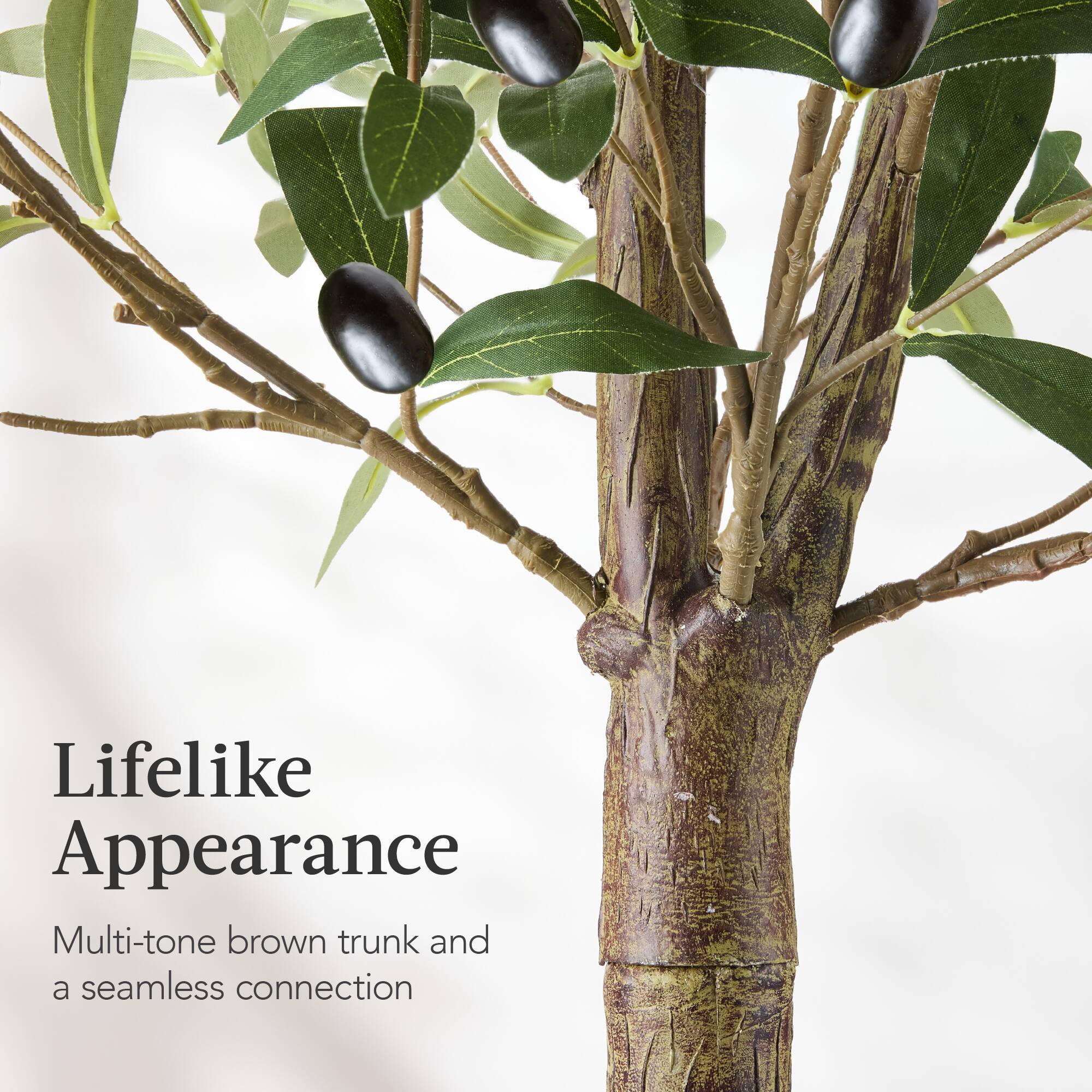 Lifelike Appearance

Multi-tone brown trunk and a seamless connection