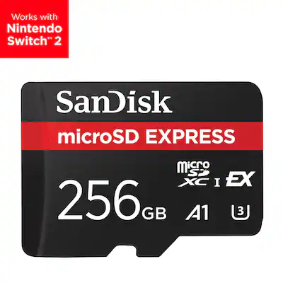 Storage Bigger Sd Card For Switch SanDisk Express 256GB MicroSD