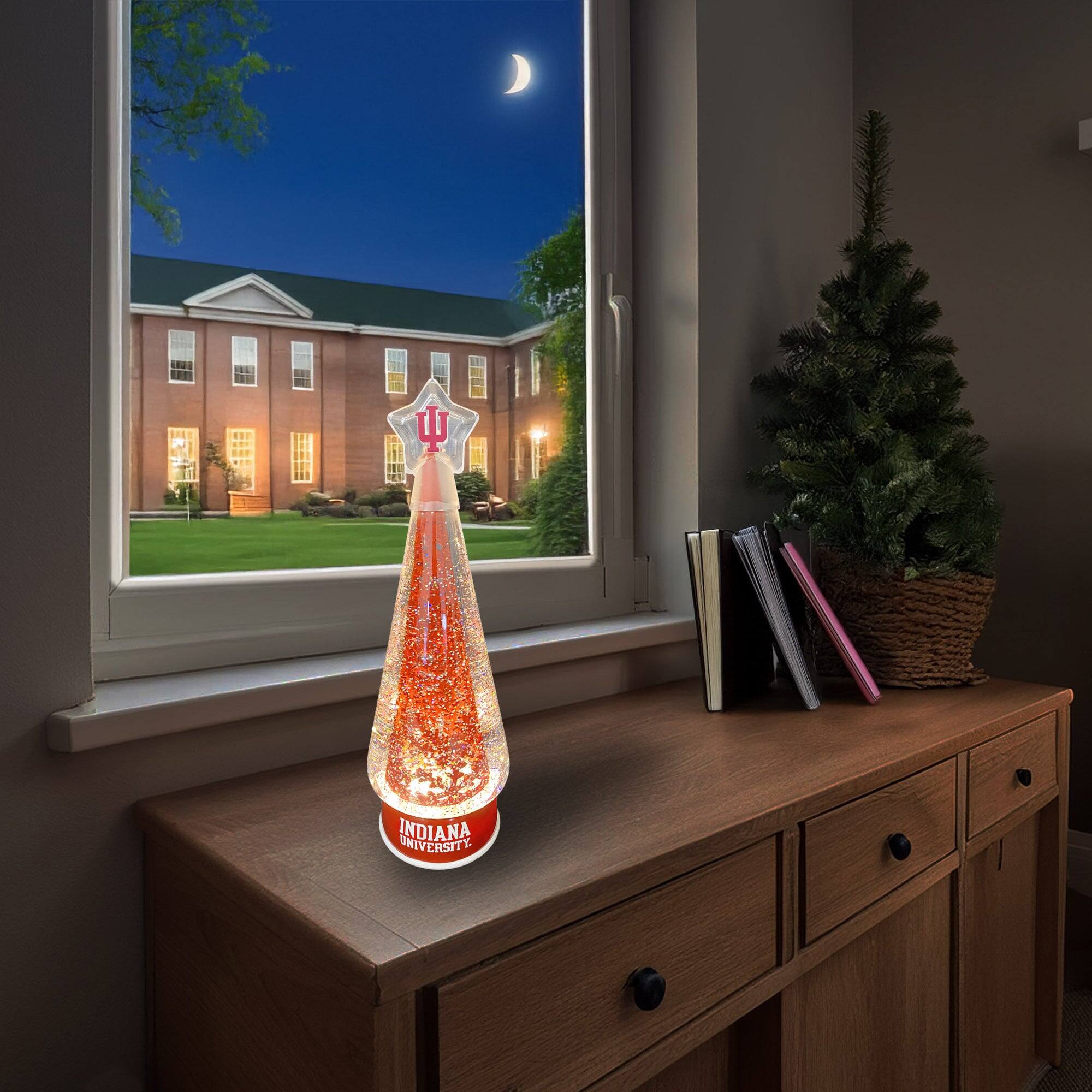 C INDIANA UNIVERSITY

INDIANA UNIVERSITY