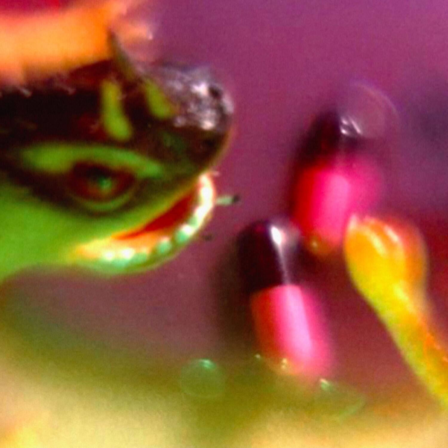 Bush Tetras - Take The Fall - VINYL LP