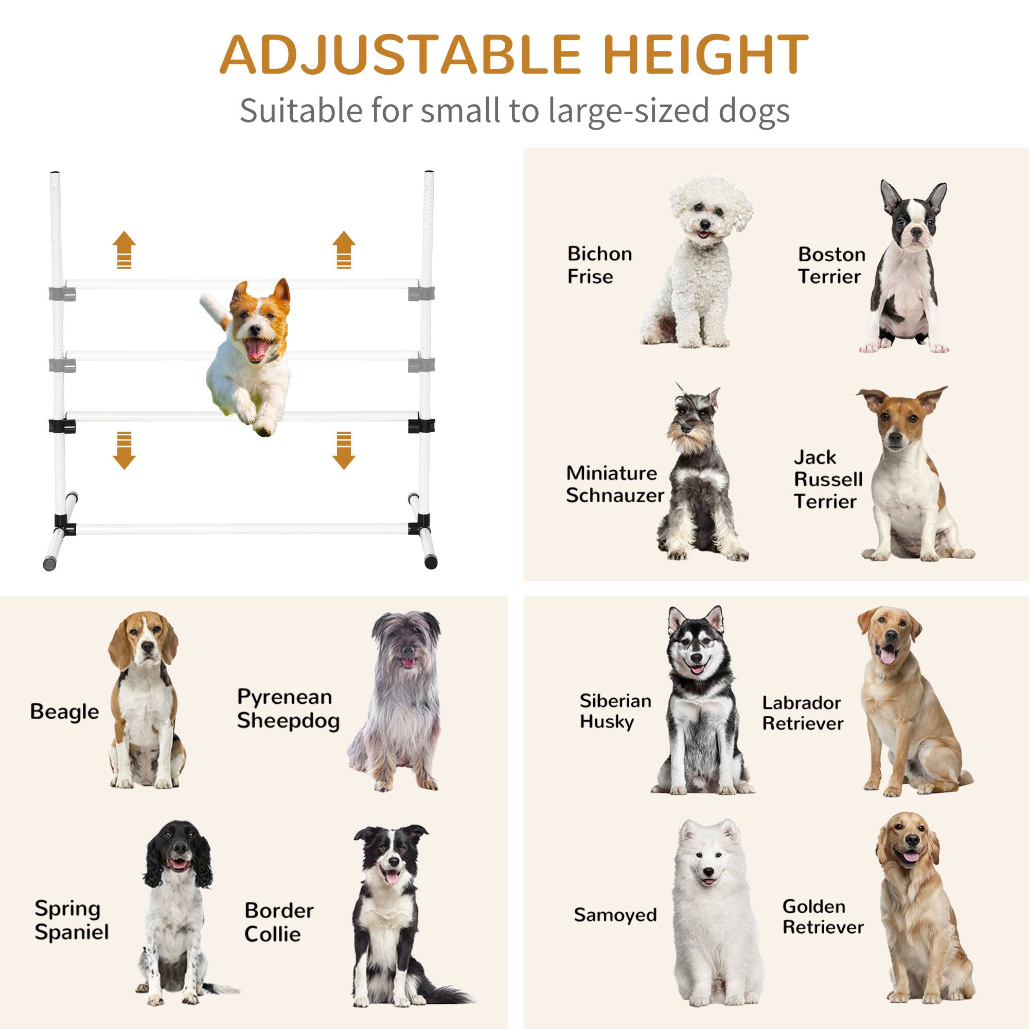 ADJUSTABLE HEIGHT  
Suitable for small to large-sized dogs  

- Bichon Frise  
- Boston Terrier  
- Miniature Schnauzer  
- Jack Russell Terrier  
- Beagle  
- Pyrenean Sheepdog  
- Spring Spaniel  
- Border Collie  
- Siberian Husky  
- Labrador Retriever  
- Samoyed  
- Golden Retriever
