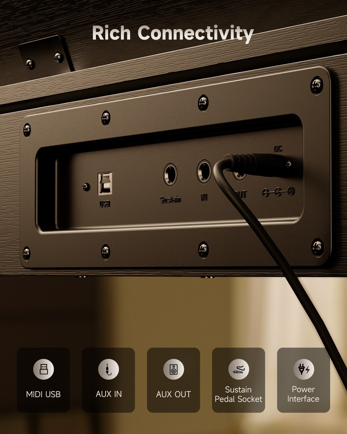 Rich Connectivity MIDI USB AUX IN AUX OUT Sustain Pedal Socket Power Interface