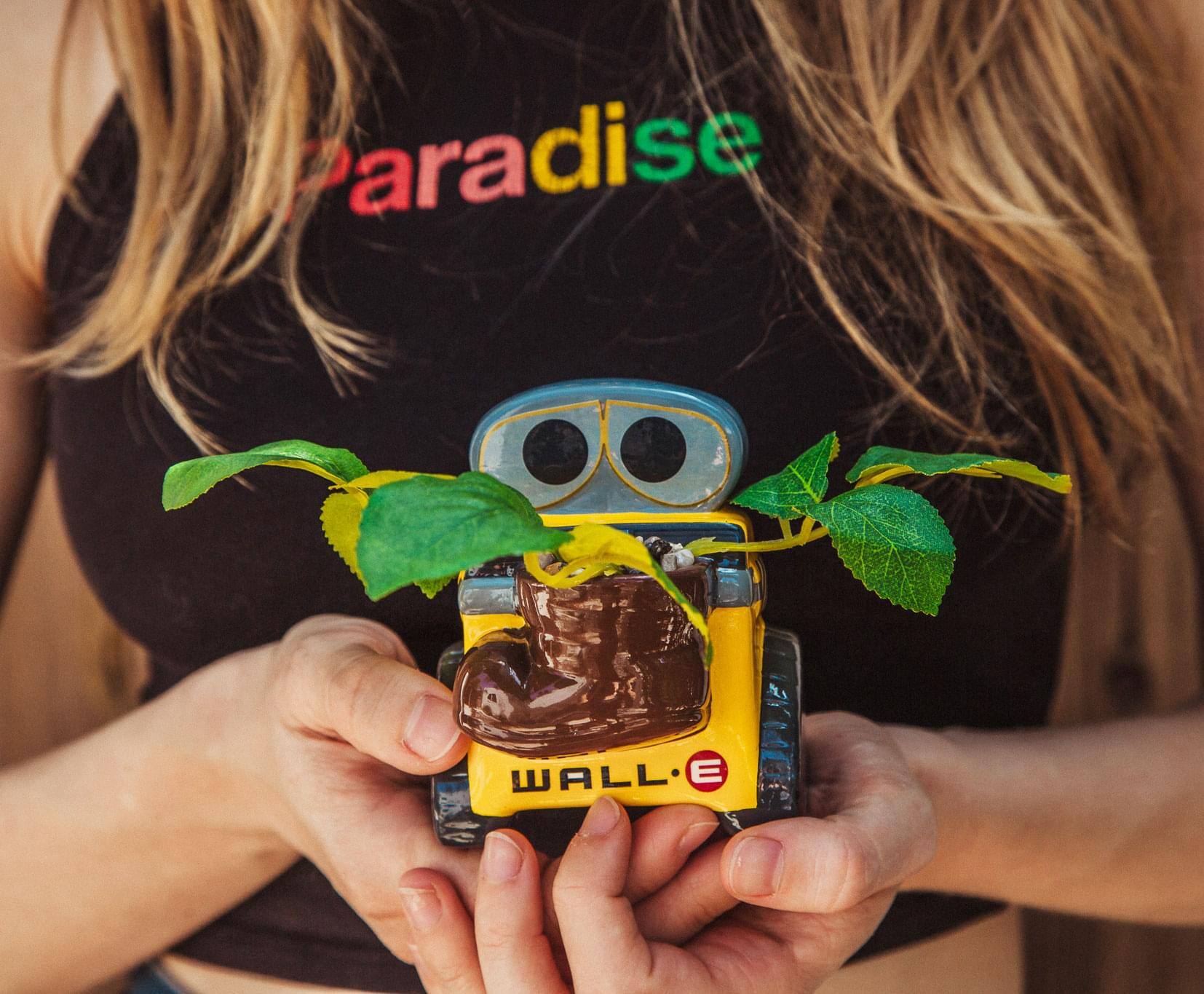 Paradise

WALL-E