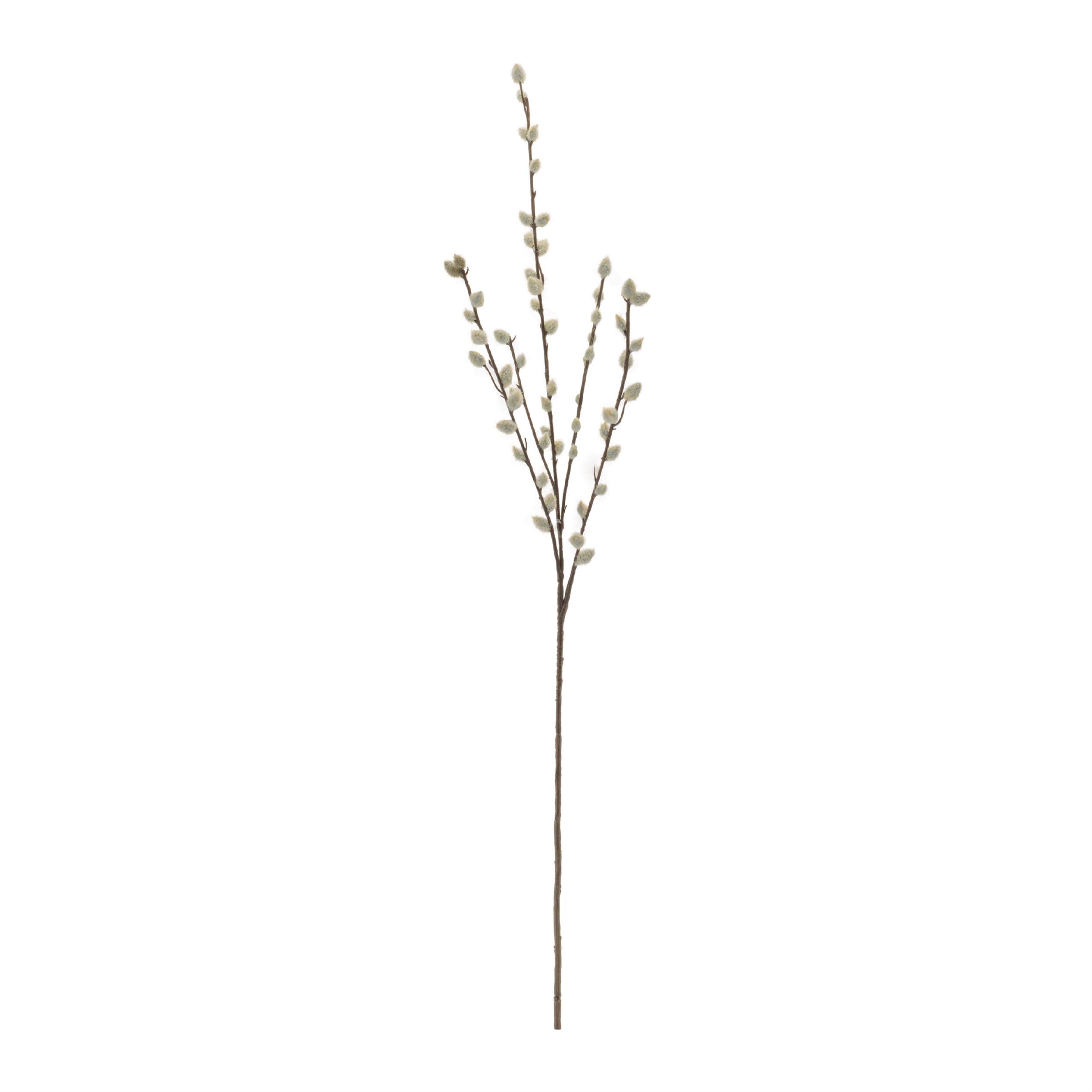 Angle. BreeBe - Pussy Willow Twig Spray (Set of 6) - Green.