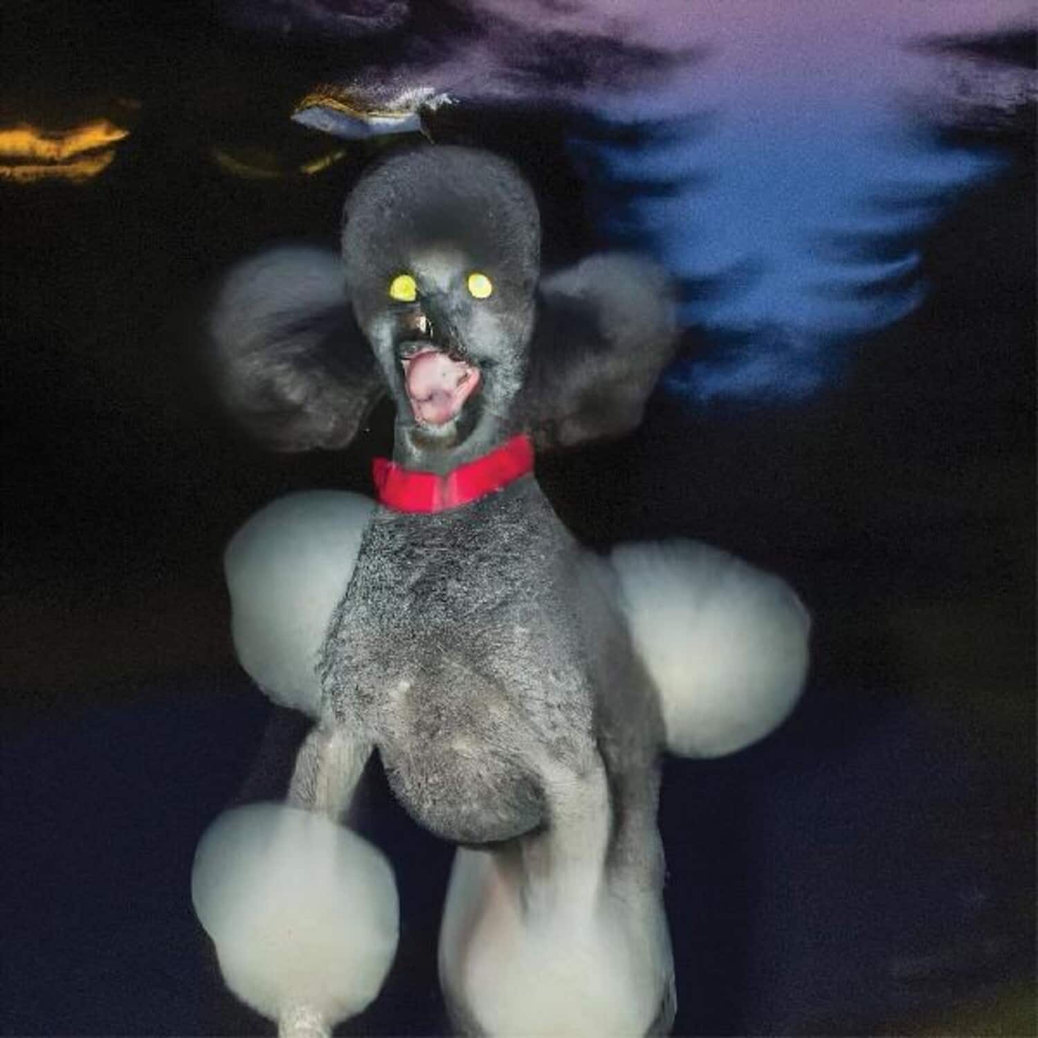 Hit Bargain - A Dog A Deer A Seal  - VINYL LP