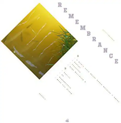 Suicideyear - Remembrance - VINYL LP