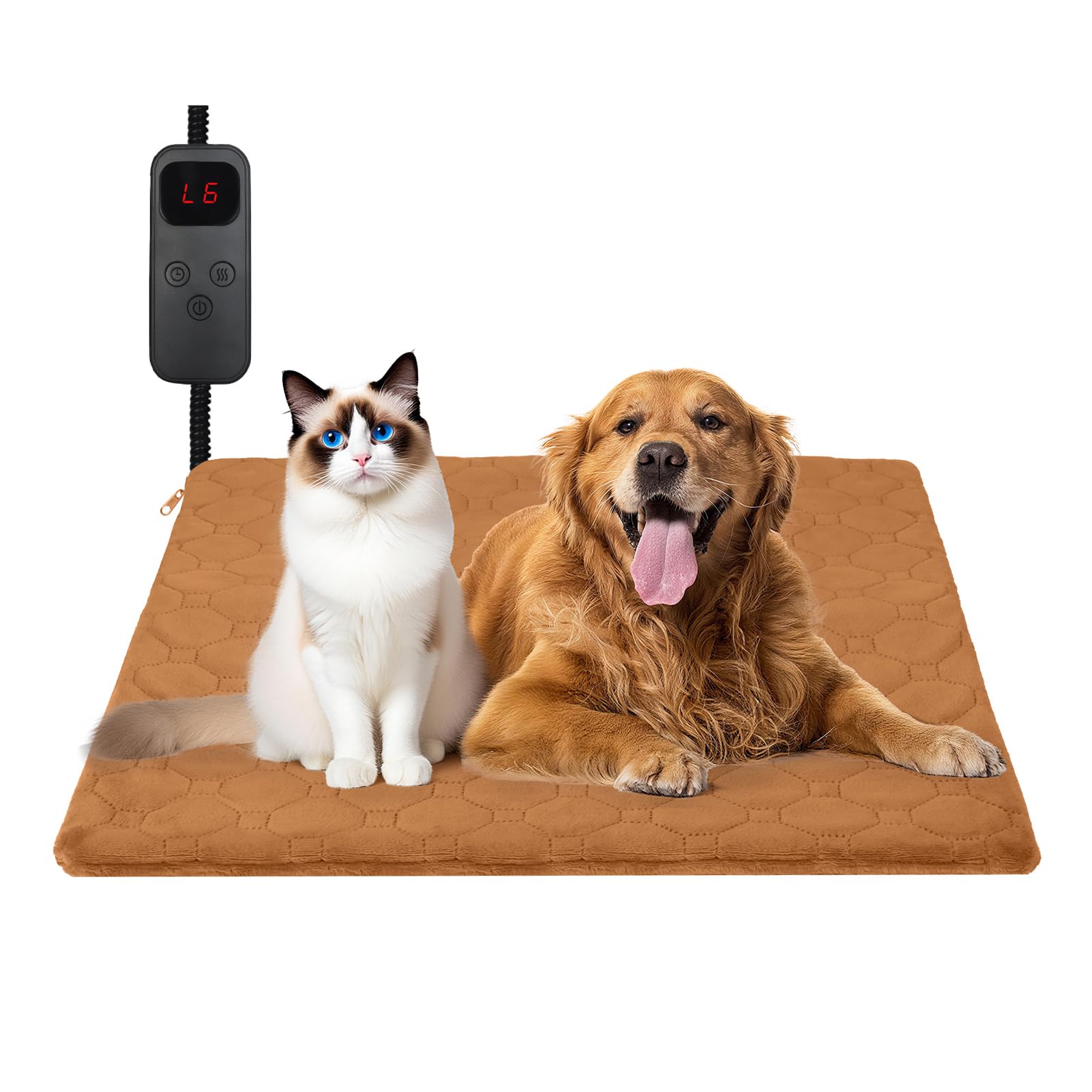 Brown M (17.7'' × 17.7'')